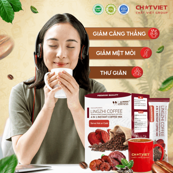 GIAM CANG THANG LINH CHI SUA