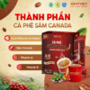 THANH PHAN
