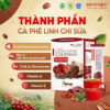 THANH PHAN LINH CHI SUA