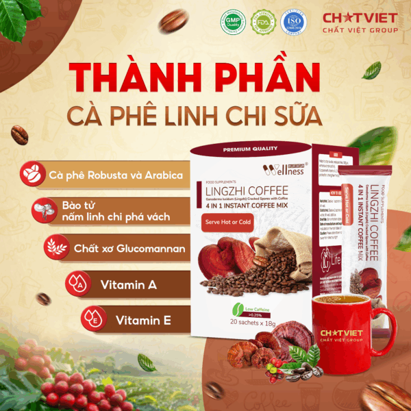 THANH PHAN LINH CHI SUA
