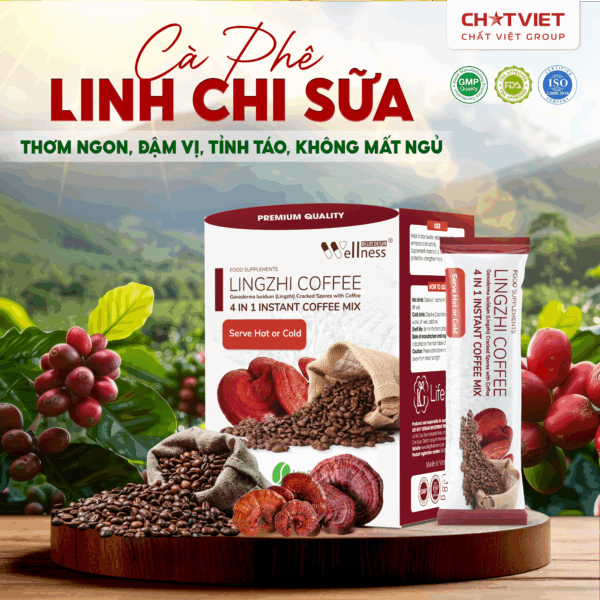 THOM NGON DAM VI LINH CHI SUA